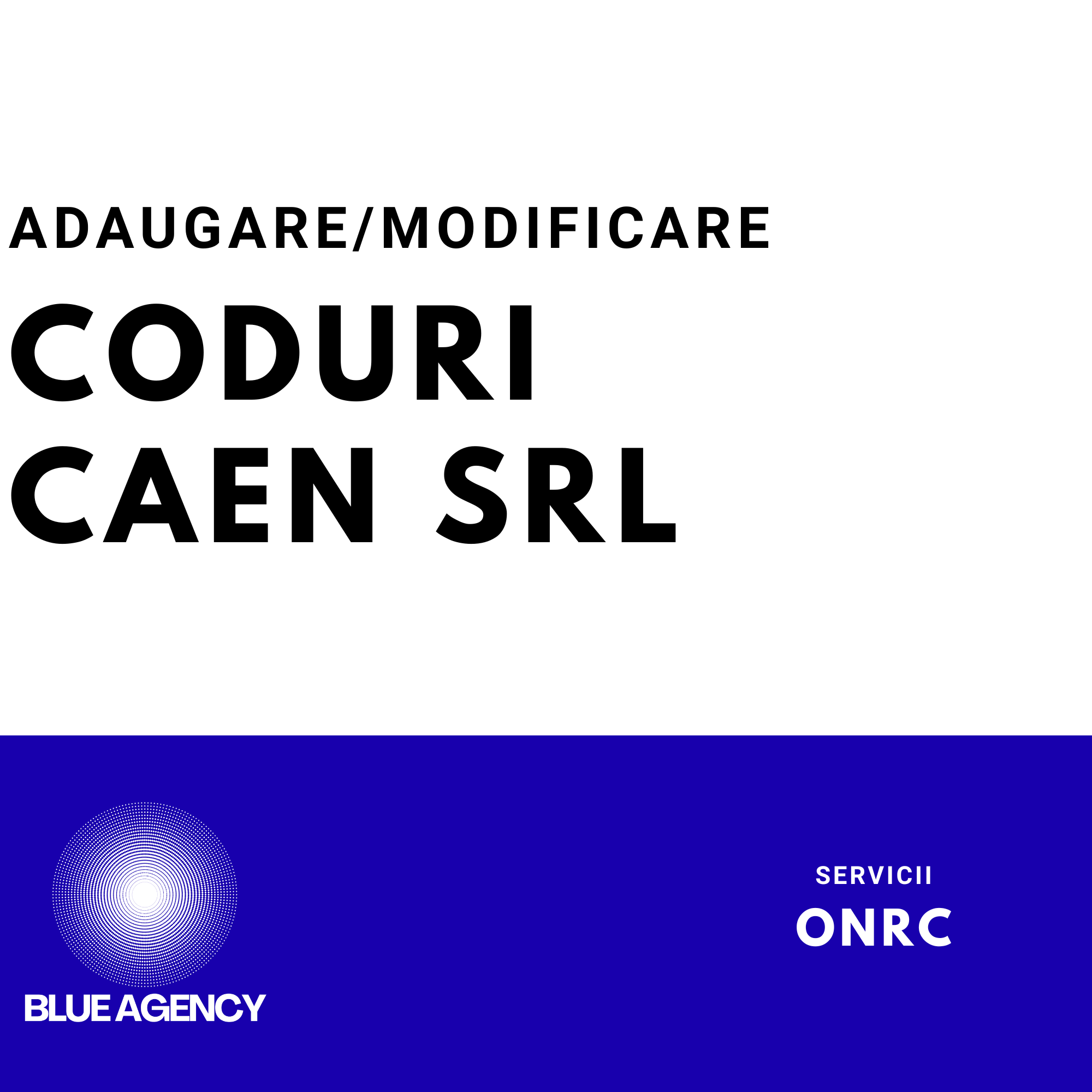 ADAUGARE MODIFICARE CODURI CAEN SRL FIRMA