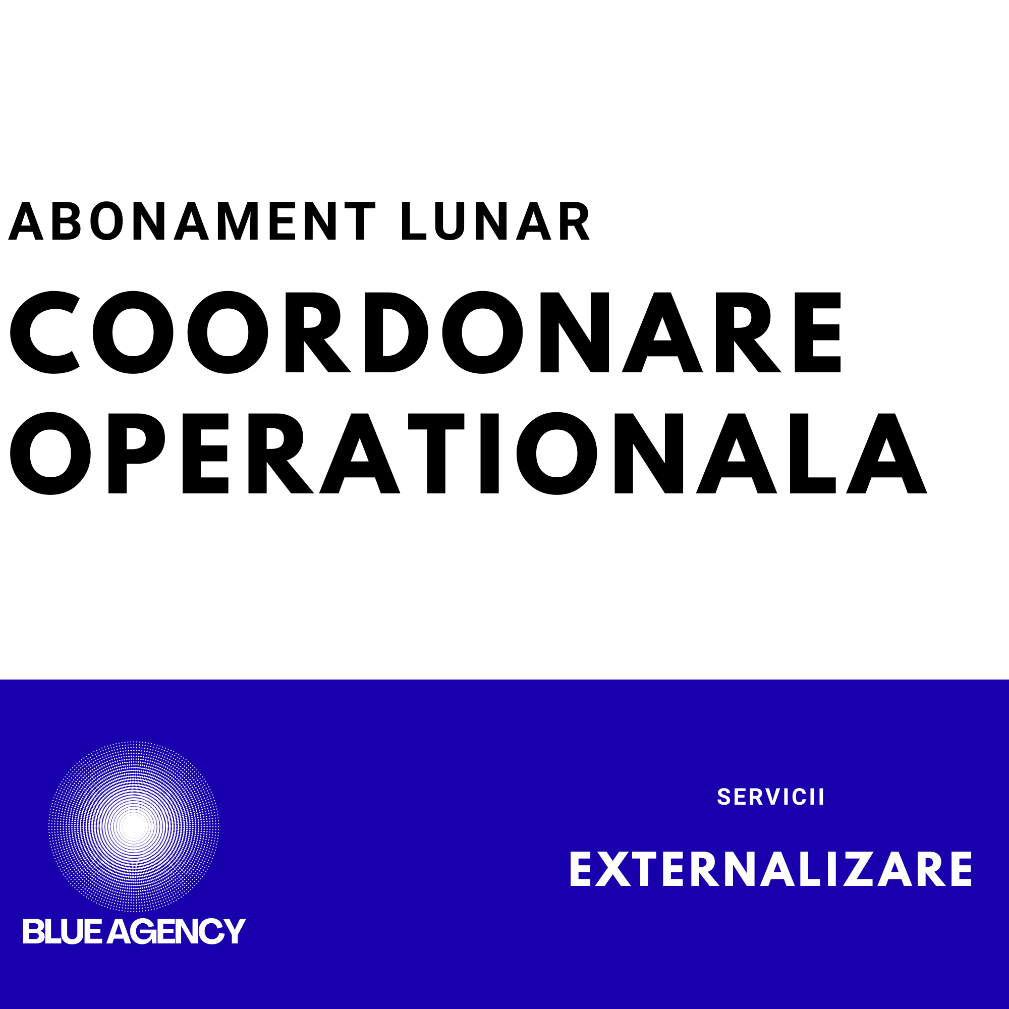COORDONARE MANAGEMENT OPERTIONAL LUNAR PENTRU FIRME SOCIETATI COMERCIALE SRL