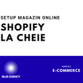 SETUP MAGAZIN ONLINE LA CHEIE SHOPIFY ECOMMERCE