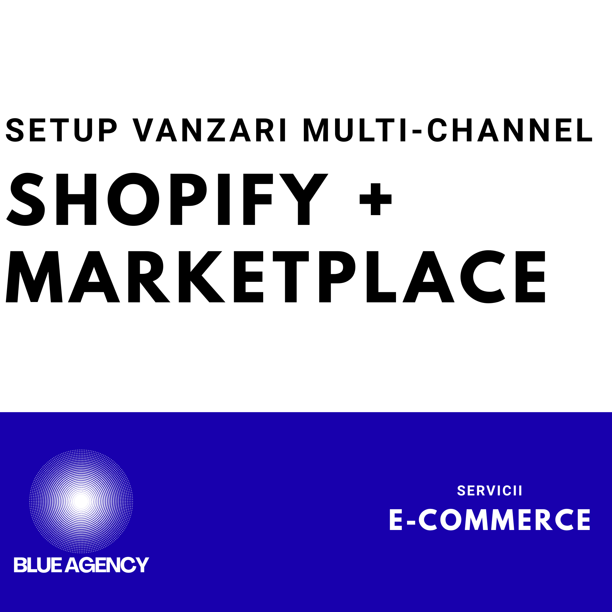 SETUP VANZARI MULTI CHANNEL SHOPIFY MARKETPLACE EMAG ALTEX CEL.RO EASYSALES