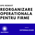 SERVICII REORGANIZARE OPERATIONALA PENTRU FIRME CU PROBLEME ADMINISTRATIVE