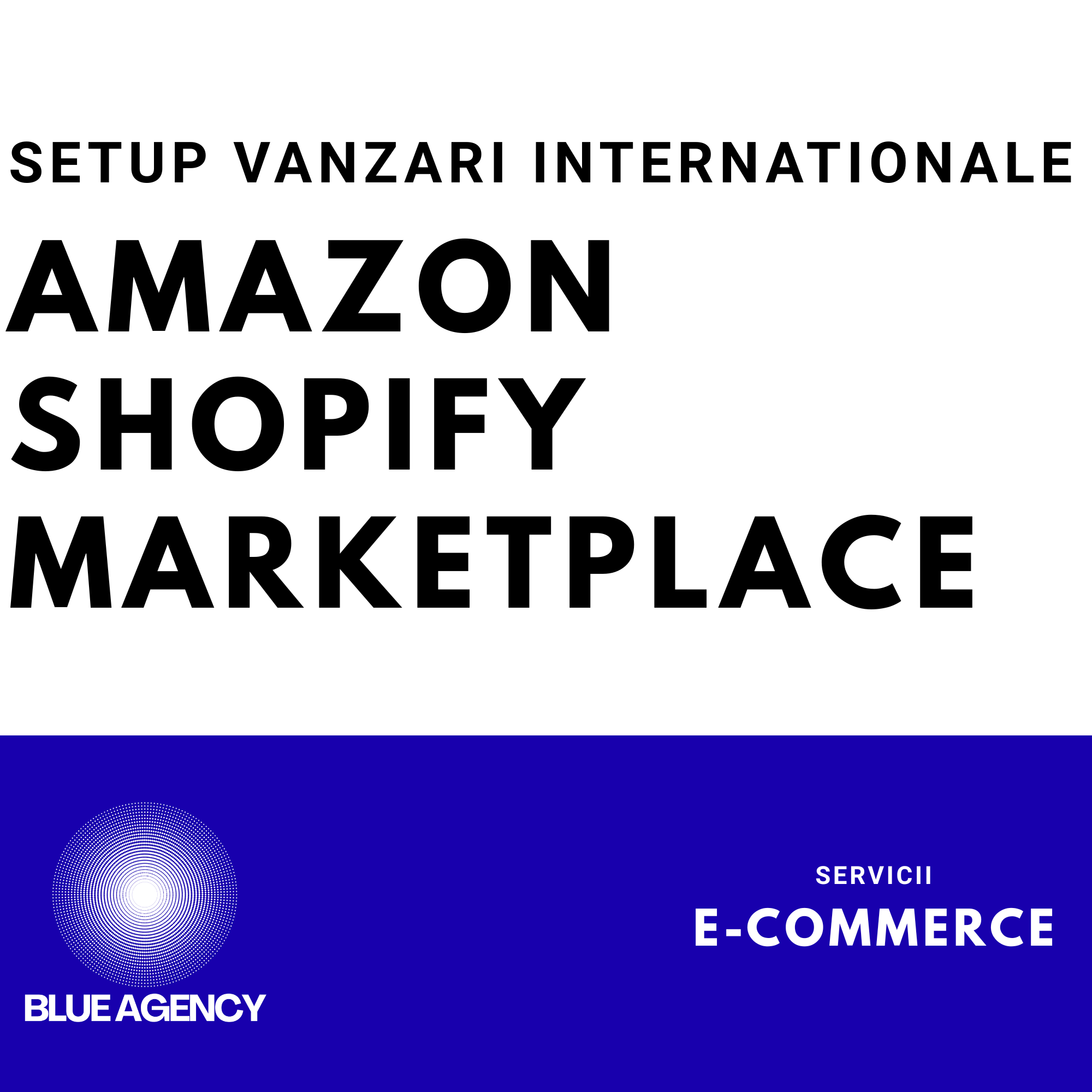 SETUP VANZARI INTERNATIONALE AMAZON SHOPIFY ETSY ECOMMERCE