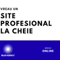 SITE PROFESIONAL LA CHEIE PENTRU FIRME