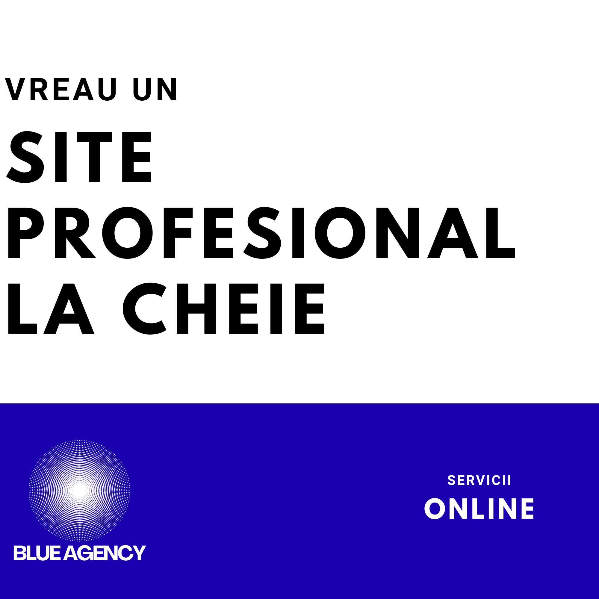 SITE PROFESIONAL LA CHEIE PENTRU FIRME